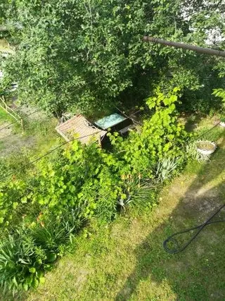 Сигнахи: Guest House Gogiashvili