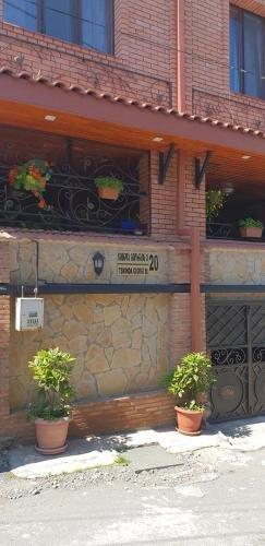 Сигнахи: Shios Guest House
