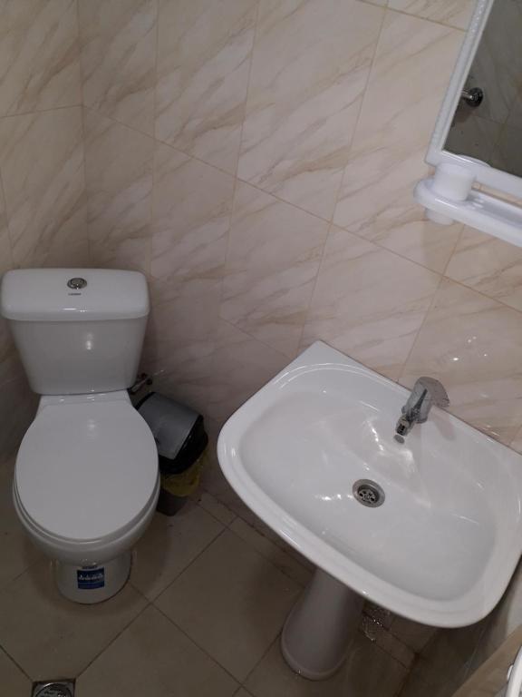 Боржоми: apartament sofia
