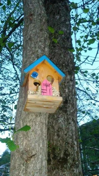 Боржоми: House in Tba