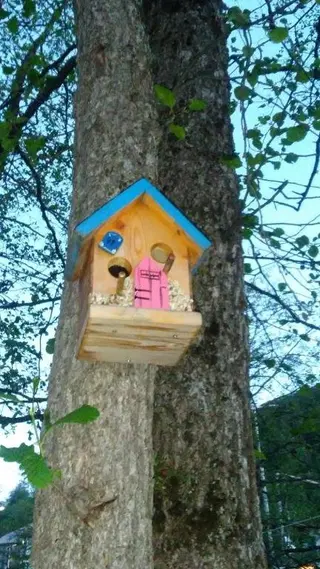 Боржоми: House in Tba