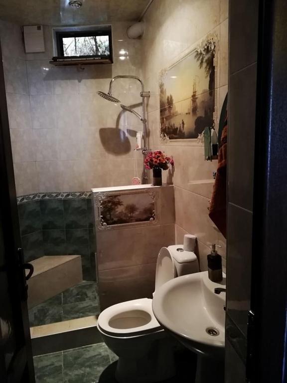 Боржоми: Shera's GuestHouse