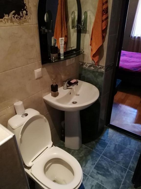 Боржоми: Shera's GuestHouse