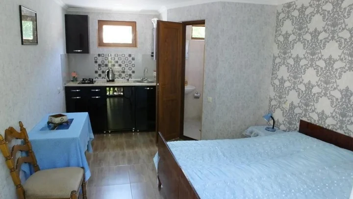 Боржоми: Guest House Pirosmani