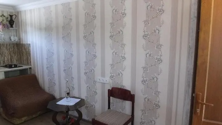 Боржоми: Guest House Pirosmani