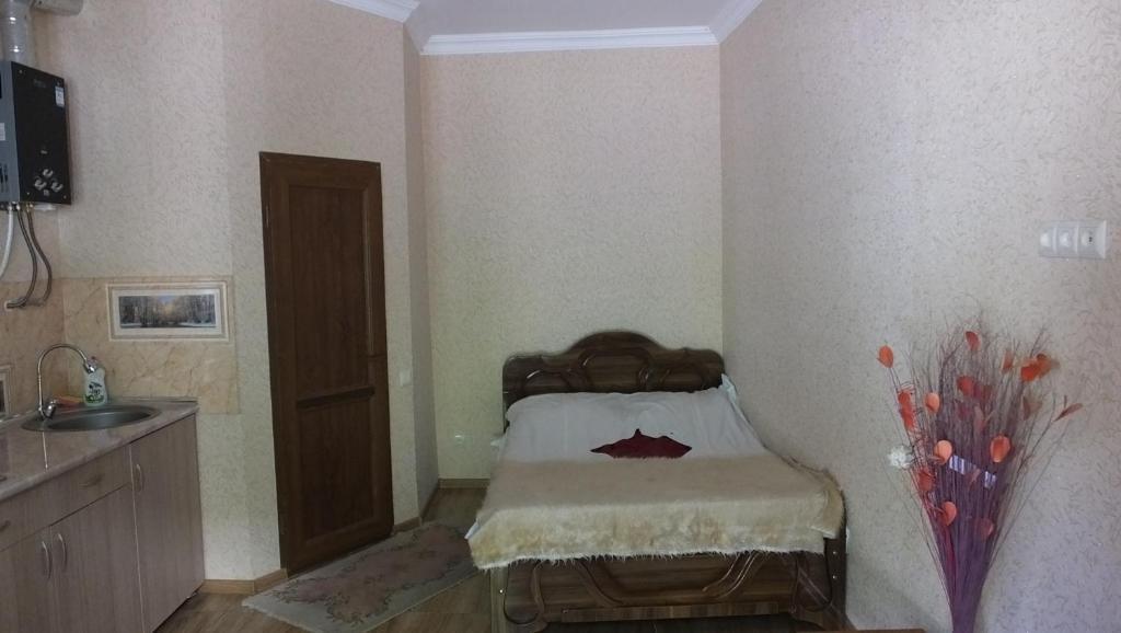Боржоми: Guest House Pirosmani