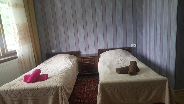 Боржоми: Joma's House Borjomi