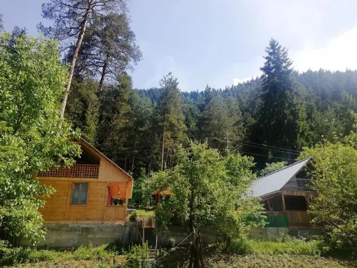 Боржоми: Guest House Ilia