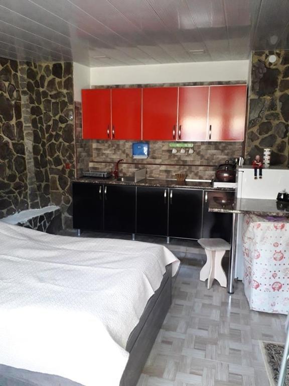 Боржоми: guest house ANA