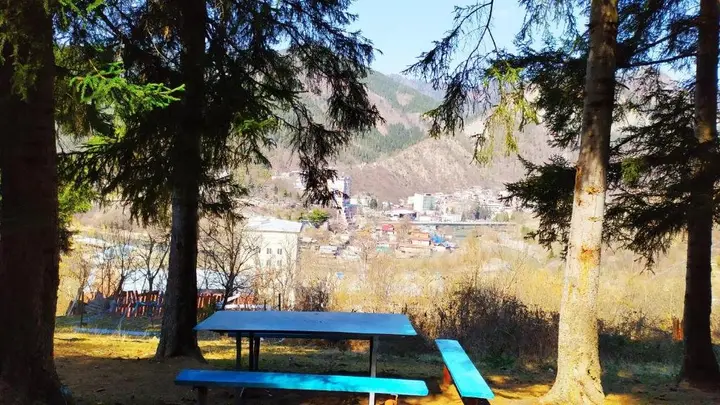 Боржоми: forest panorama