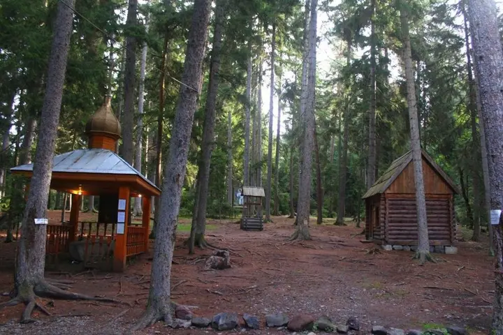 Боржоми: Guest House Bochora