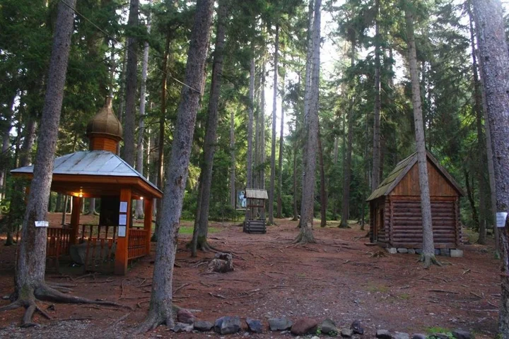 Боржоми: Guest House Bochora
