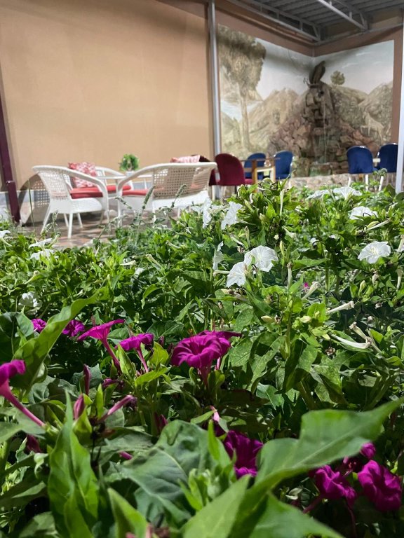 Бухара: Отель Hotel Jumadaler Boutique