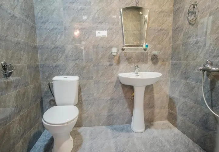 Боржоми: Guduna Guest House