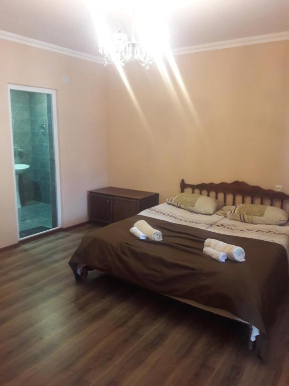 Боржоми: Guduna Guest House