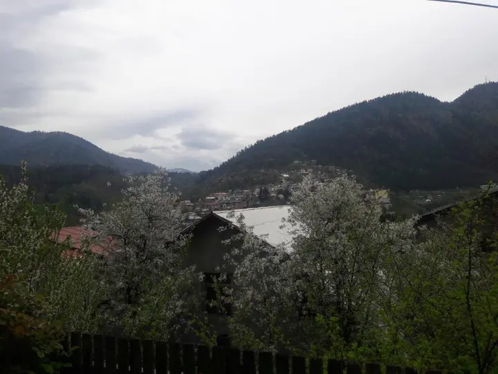 Боржоми: Guduna Guest House