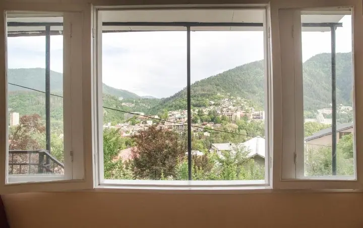 Боржоми: Guduna Guest House