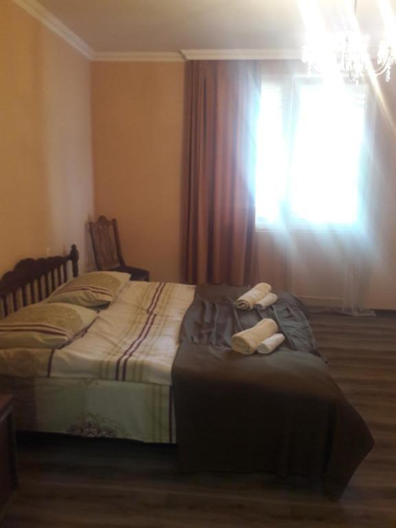 Боржоми: Guduna Guest House
