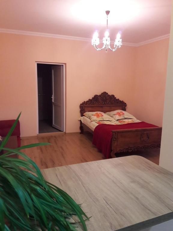 Боржоми: Guduna Guest House