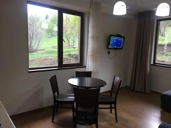 Bakuriani best price residence — фото 4
