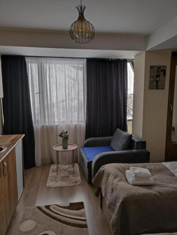 Гудаури: Sunny Studio in Gudauri