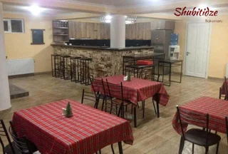 Бакуриани: Hotel Shubitidze
