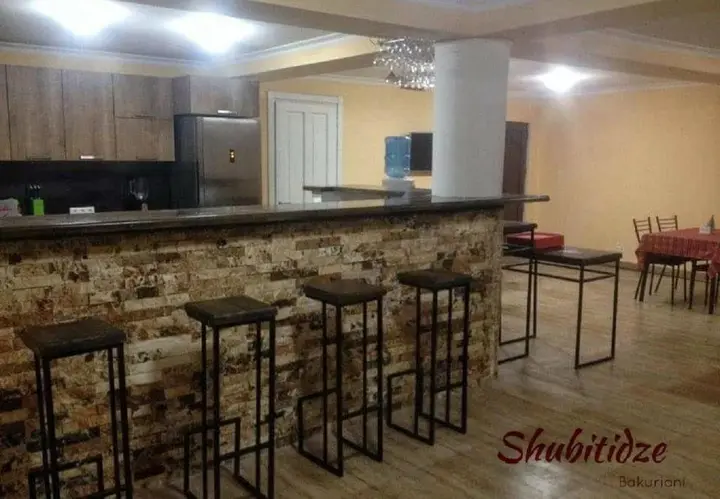 Бакуриани: Hotel Shubitidze