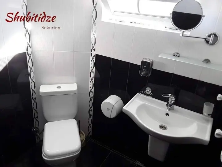 Бакуриани: Hotel Shubitidze