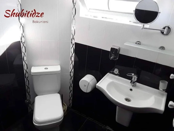 Бакуриани: Hotel Shubitidze