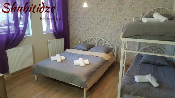 Бакуриани: Hotel Shubitidze