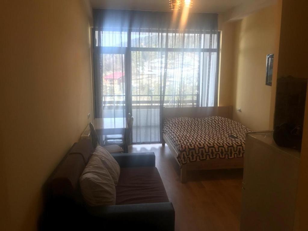 Бакуриани: Bakuriani Inn