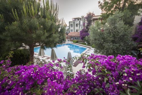 Бодрум: Mars Villas Apart Hotel