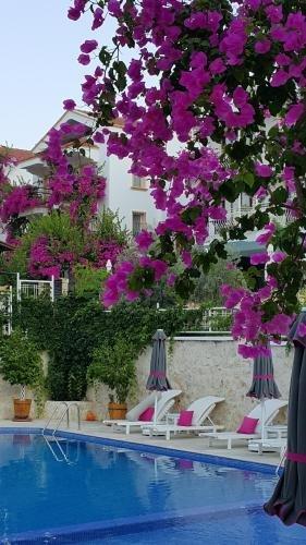 Калкан: Central Suite Kalkan