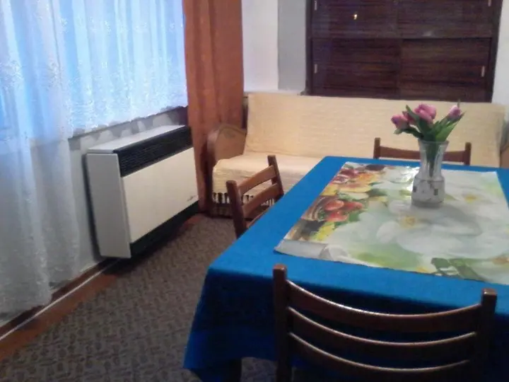 Боржоми: Guest House Tengiz