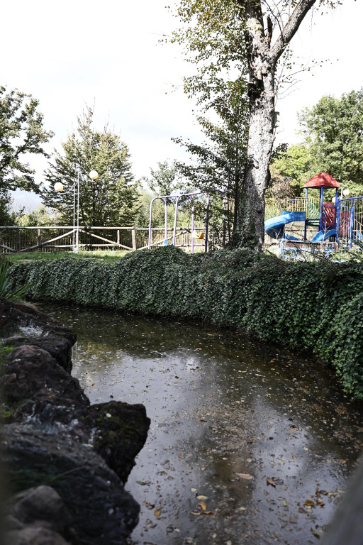 Дилижан: Курортный отель Dilijan Park Resort and Villas