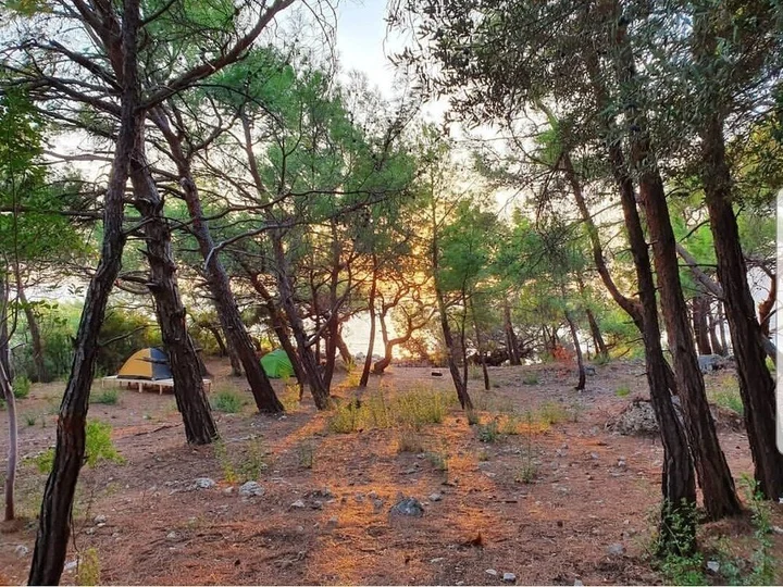Патара: Kara Dere Park Orman