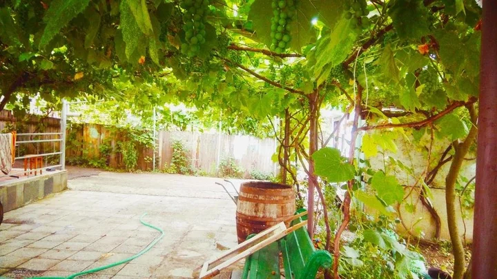 Боржоми: Weekend House