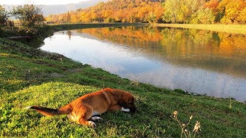 Zaqatala: Hope Lake