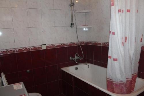 Сигнахи: Nando Guest House