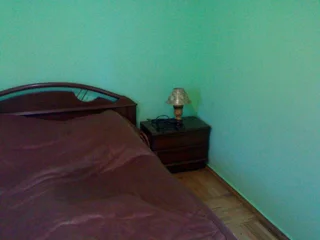 Боржоми: Guest House Manjgaladze 8