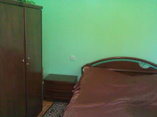Боржоми: Guest House Manjgaladze 8