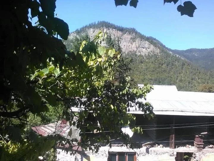 Боржоми: Guest House Manjgaladze 8