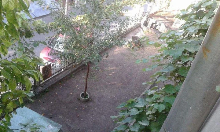 Боржоми: Guest House Manjgaladze 8