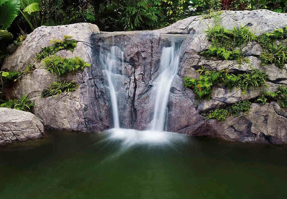 Тхаланг: Renaissance Phuket Resort  Spa