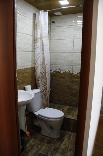 Алаверди: Mini House Hostel
