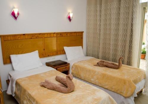 Дахаб: New Yalla Hotel