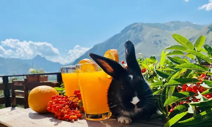 Степанцминда: Hotel Kazbegi 1963