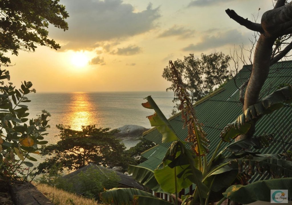 Ко-Пханган: The Ocean Phangan Homestay
