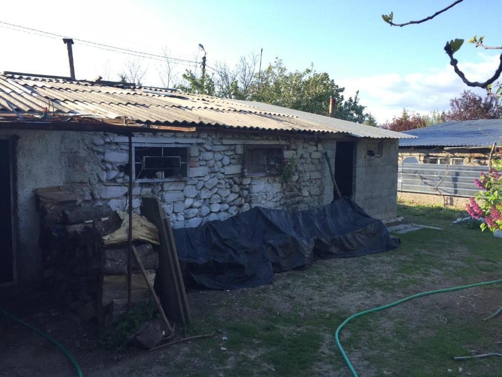 Телави: Rabbit Guest house