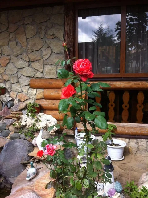 Голубицкая: Guest House Metelitsa
